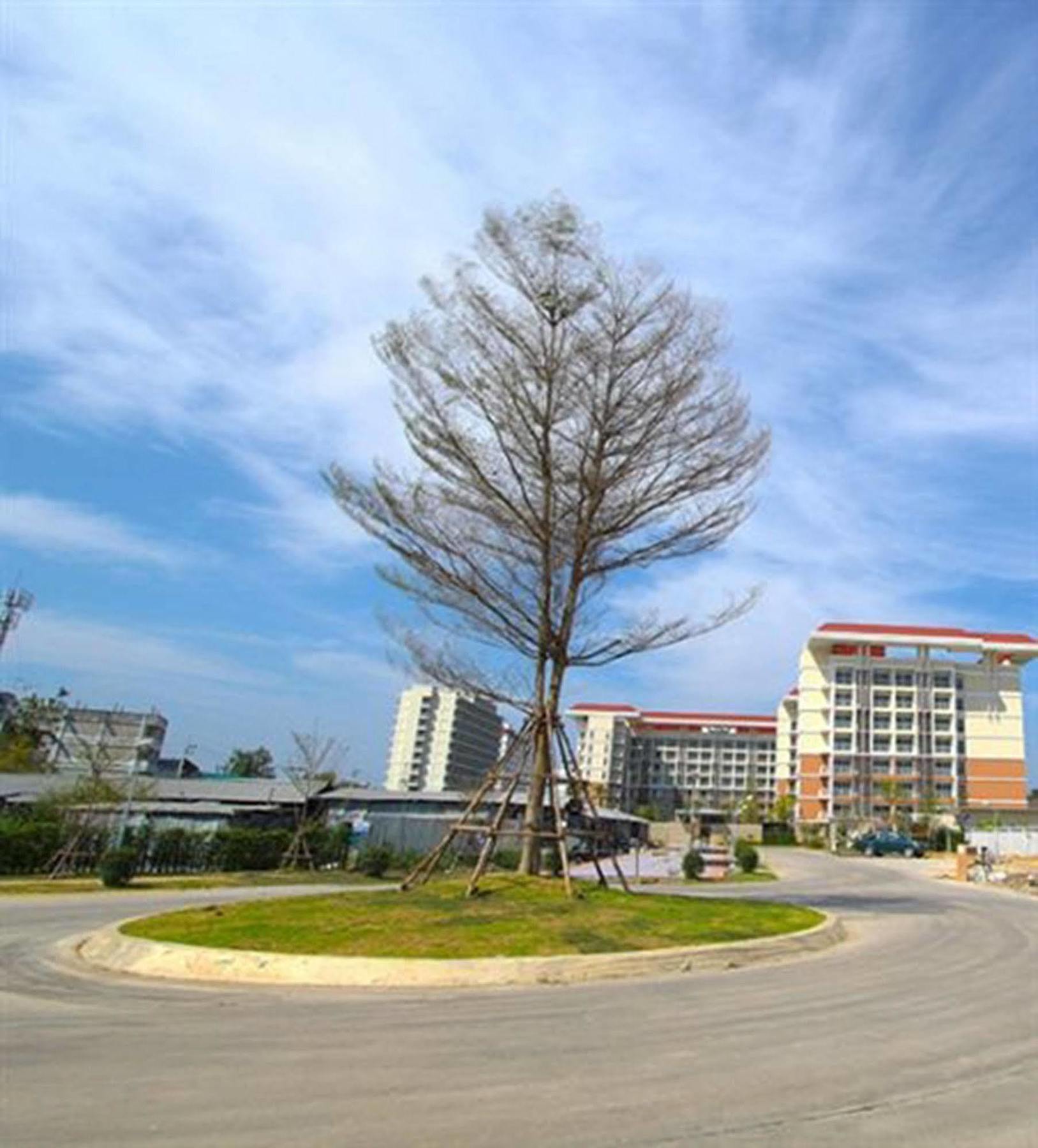 Grow Residences Bangkok Luaran gambar